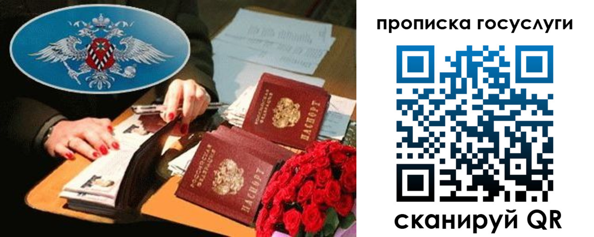 прописка гарантия в Гатчине
