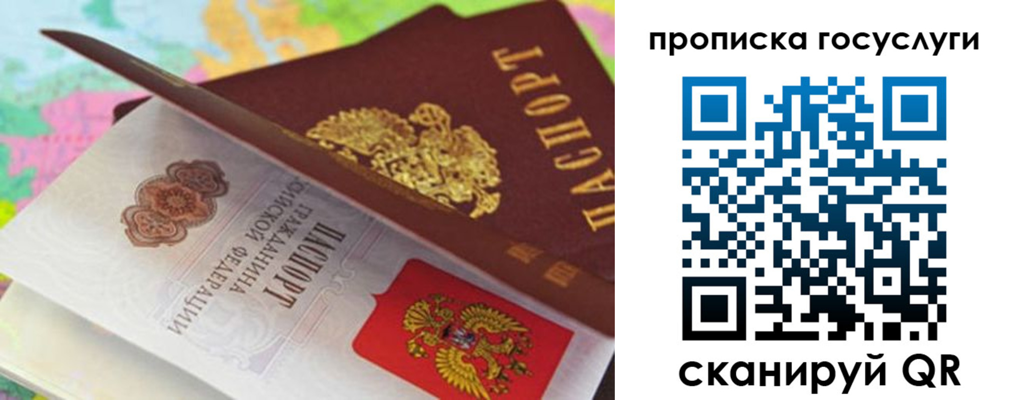где прописаться в Гатчине