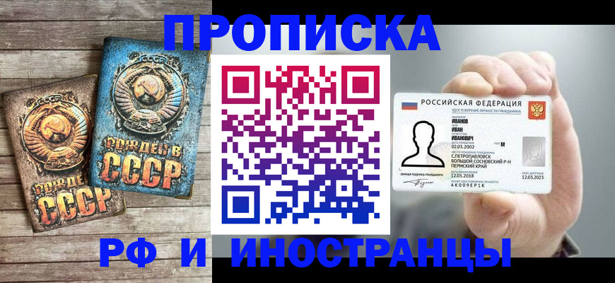 где прописаться в Гатчине